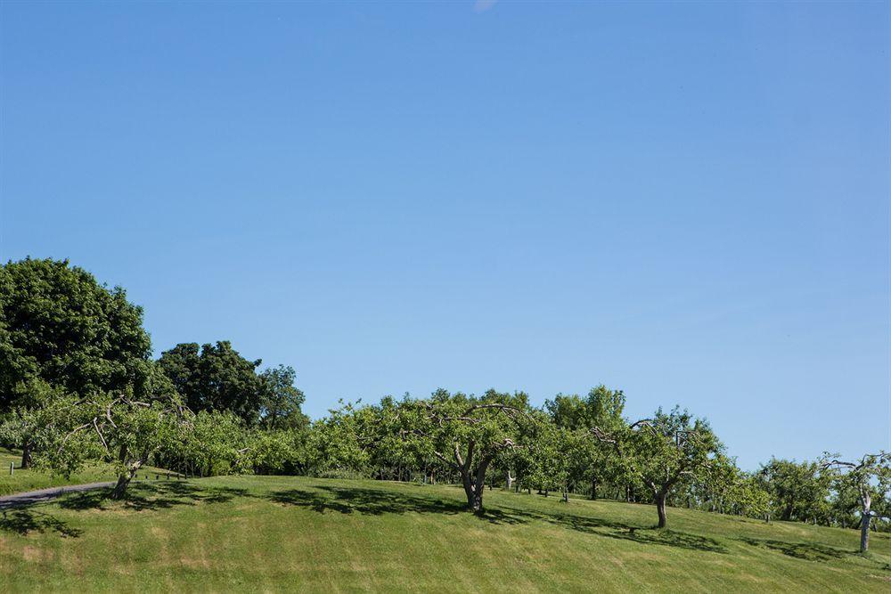 Manoir D'Youville Châteauguay Heights Dış mekan fotoğraf